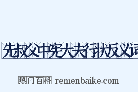 先叔父中宪大夫行状反义词是什么意思的图片